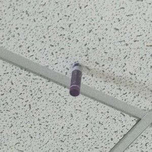 Meet your Posher, Allen